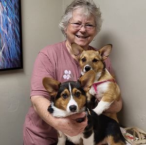 Meet your Posher, Diane